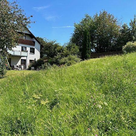 Ruhige Ferienwohnung Mit Terrasse Fuer 2 Personen Vohenstrauss Zewnętrze zdjęcie